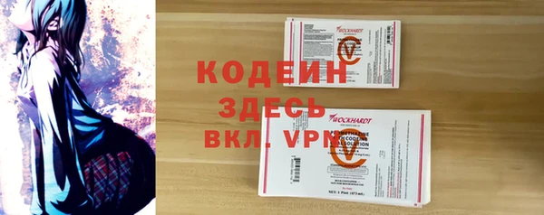 индика Горно-Алтайск