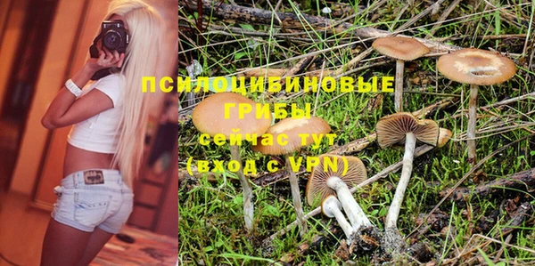 индика Горно-Алтайск
