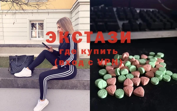 индика Горно-Алтайск