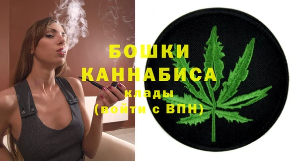 тгк Горнозаводск