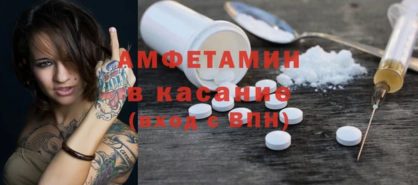 индика Горно-Алтайск