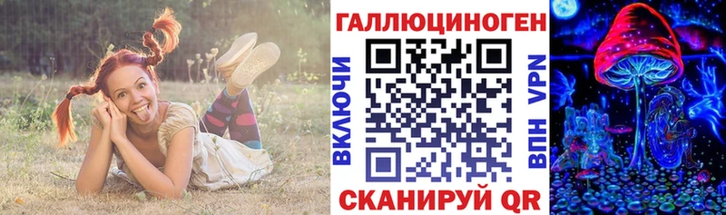 цены   Чудово  гидра ССЫЛКА  Галлюциногенные грибы Psilocybe 